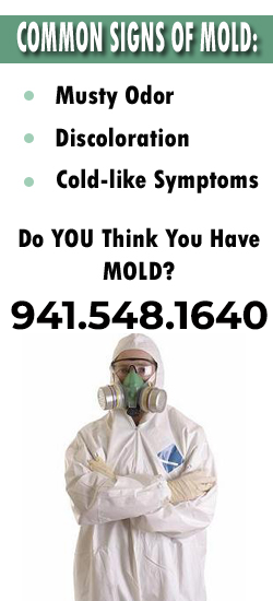 Bradenton Mold Remediation Contractor