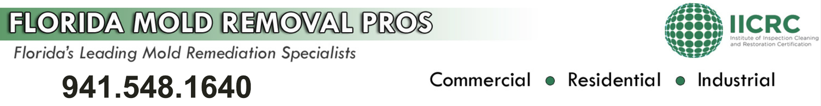Bradenton Mold Removal Pros